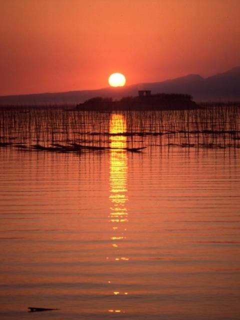 海苔畑と夕日