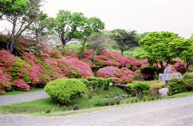 えりも町しゃくなげ公園