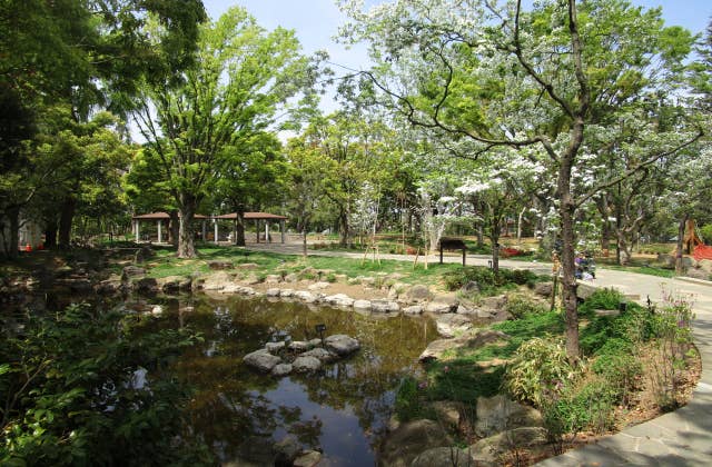 平和の森公園