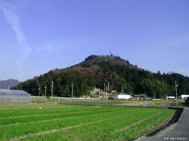 日向山遠景