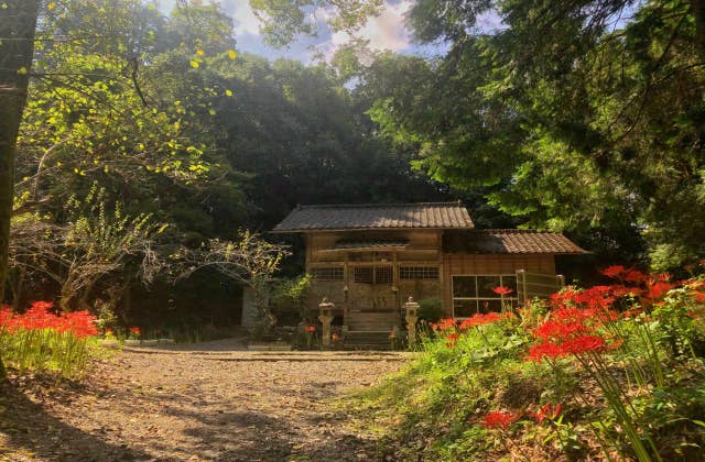 宝陀寺