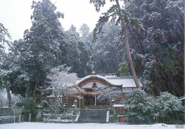 杉谷神社（冬）