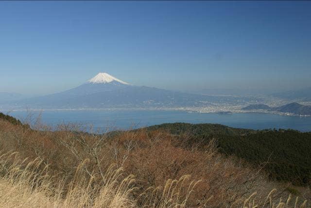 達磨山からの富士山