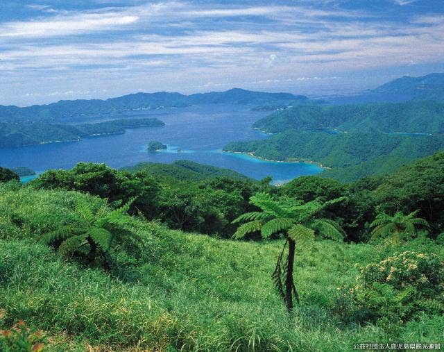 油井岳から大島海峡を望む