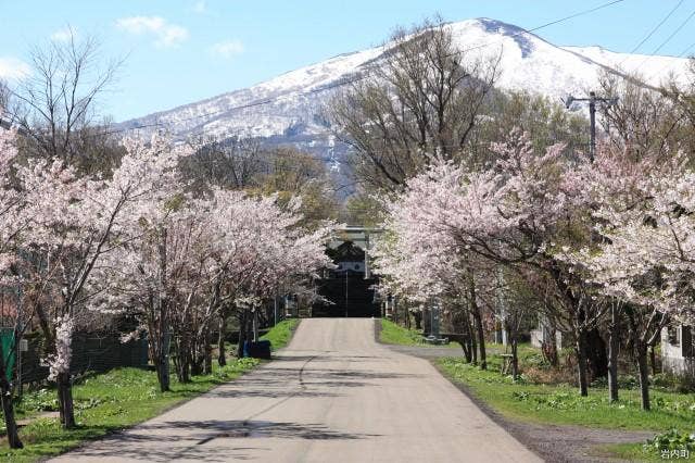 岩内神社