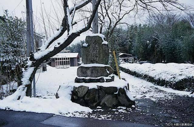 中野城跡（日野城跡）