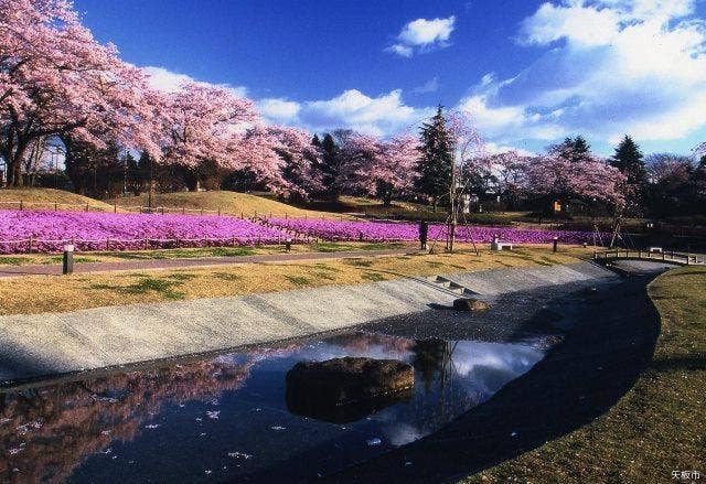 長峰公園