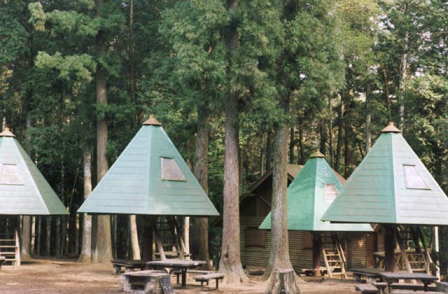 龍ケ崎市森林公園キャンプ場