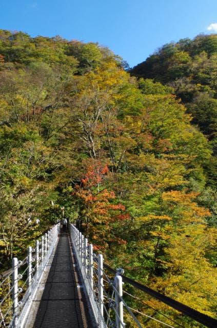 大山滝吊橋