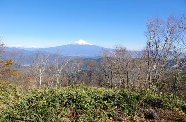 山頂からの眺望