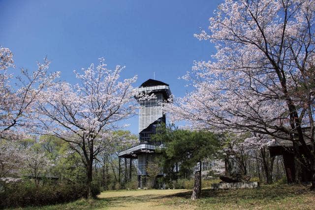 二ノ宮山展望塔