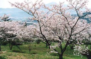 多武の峰公園