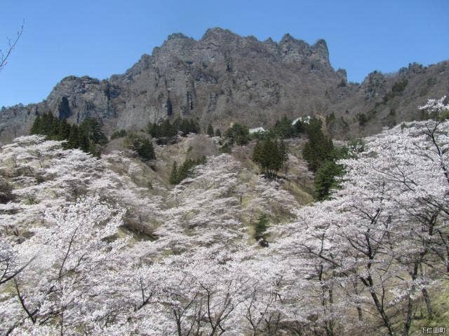 妙義山さくらの里