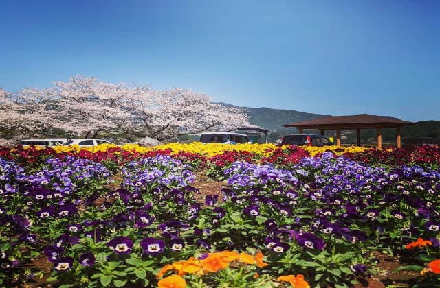 緑川ダム広場