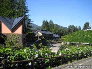 森林公園ゆらぎの森