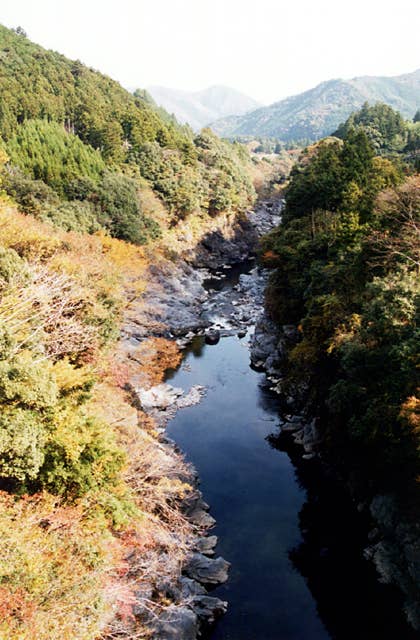 領内峡の紅葉