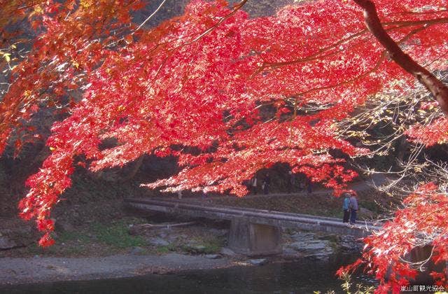 嵐山渓谷（塩沢冠水橋付近の紅葉）