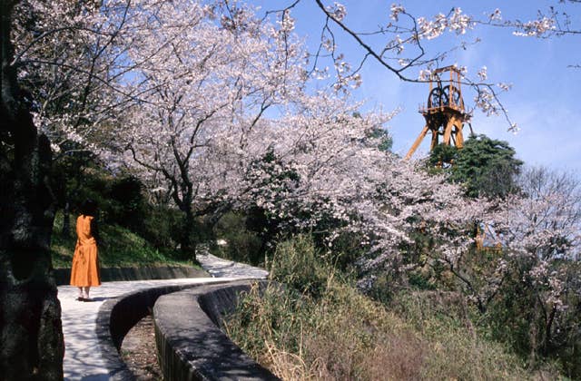 多賀公園