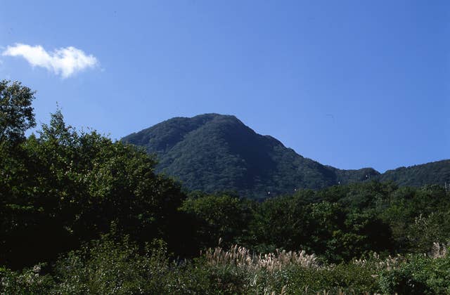 Daigatake