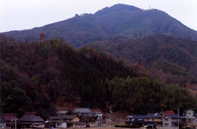Snake Maruyama
