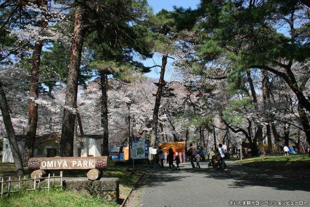 大宮公園