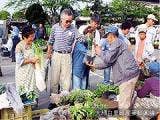 大網白里町朝市