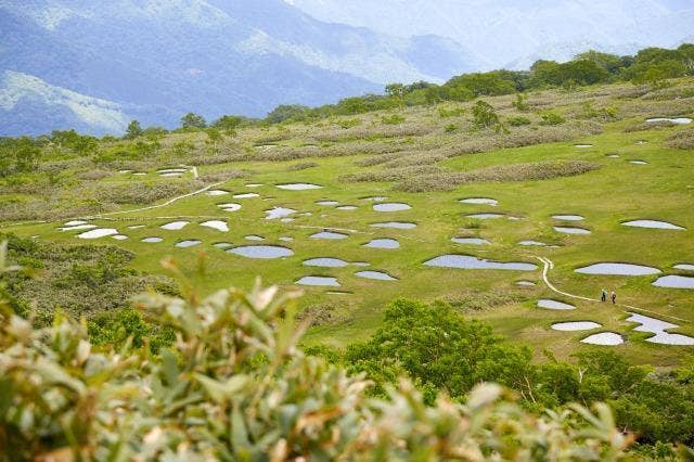 山頂からの景観