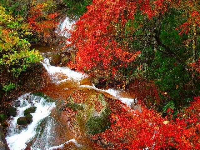 登山道、岩瀬渓流