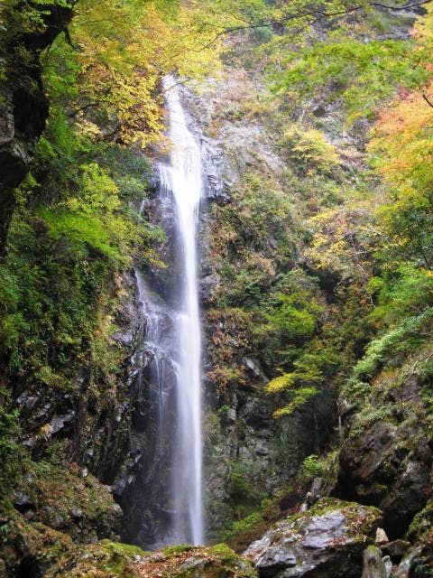 宮ノ谷渓谷　高滝