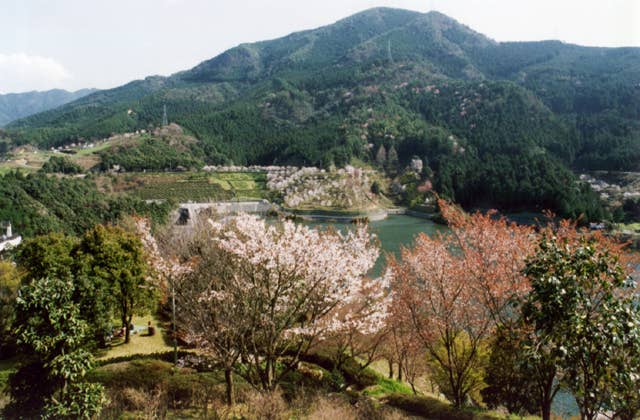 朝霧湖公園