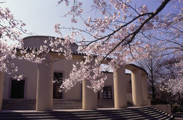旧多摩聖蹟記念館の桜，ツツジ