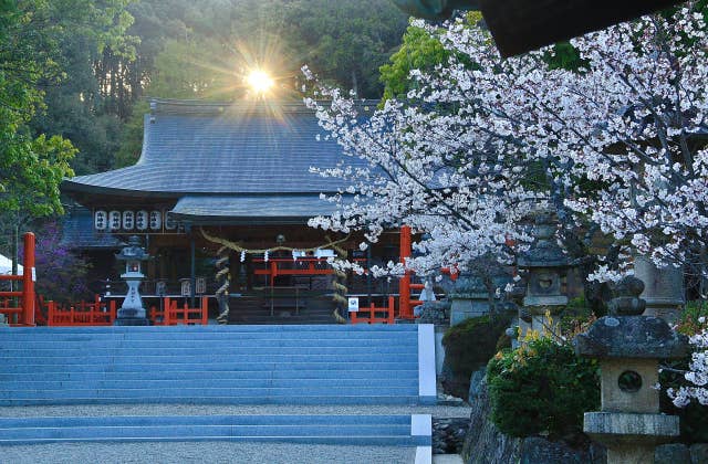 龍田大社拝殿