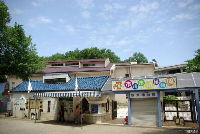 市川市動植物園