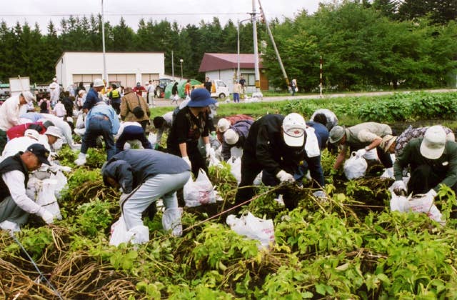 いも堀り体験農園