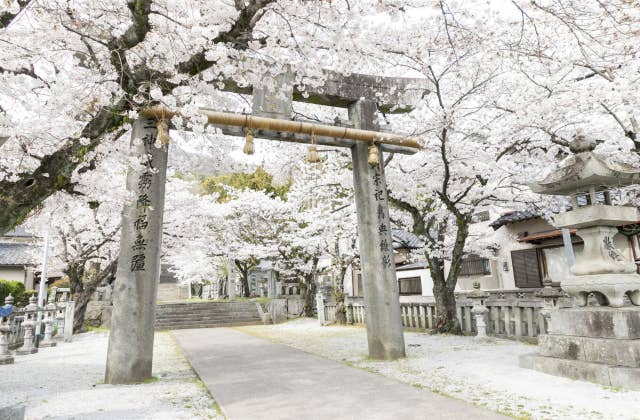 春の香春神社