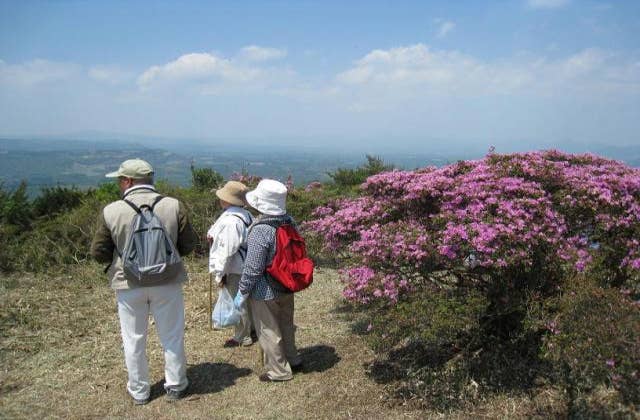 経塚山山頂・ミヤマキリシマ