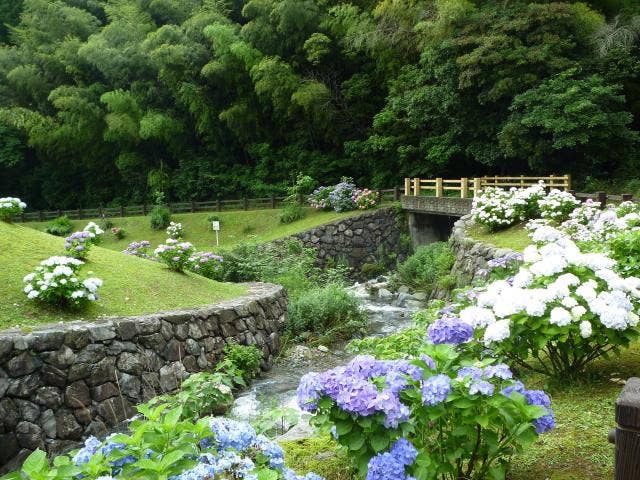 初夏の呉ダム渓流公園