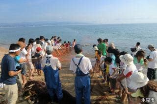 島尾海岸地引き網