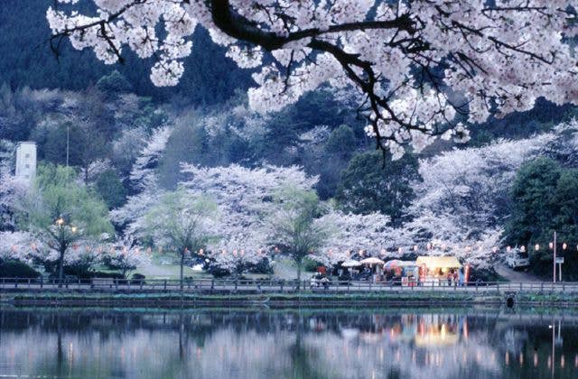 新居浜市　滝の宮公園 初日の出