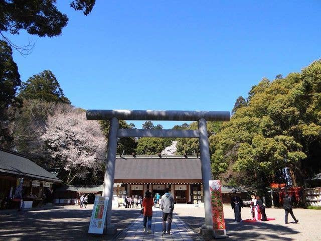 常磐神社 初詣