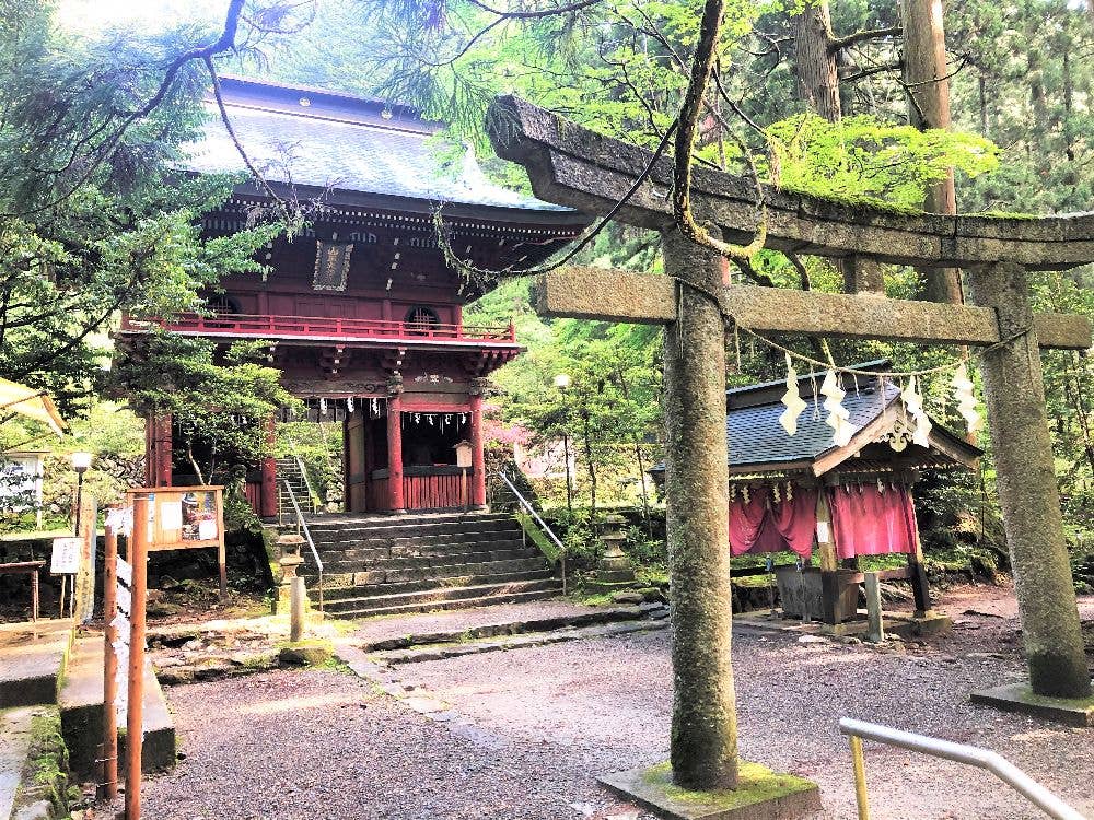 花園神社 初詣