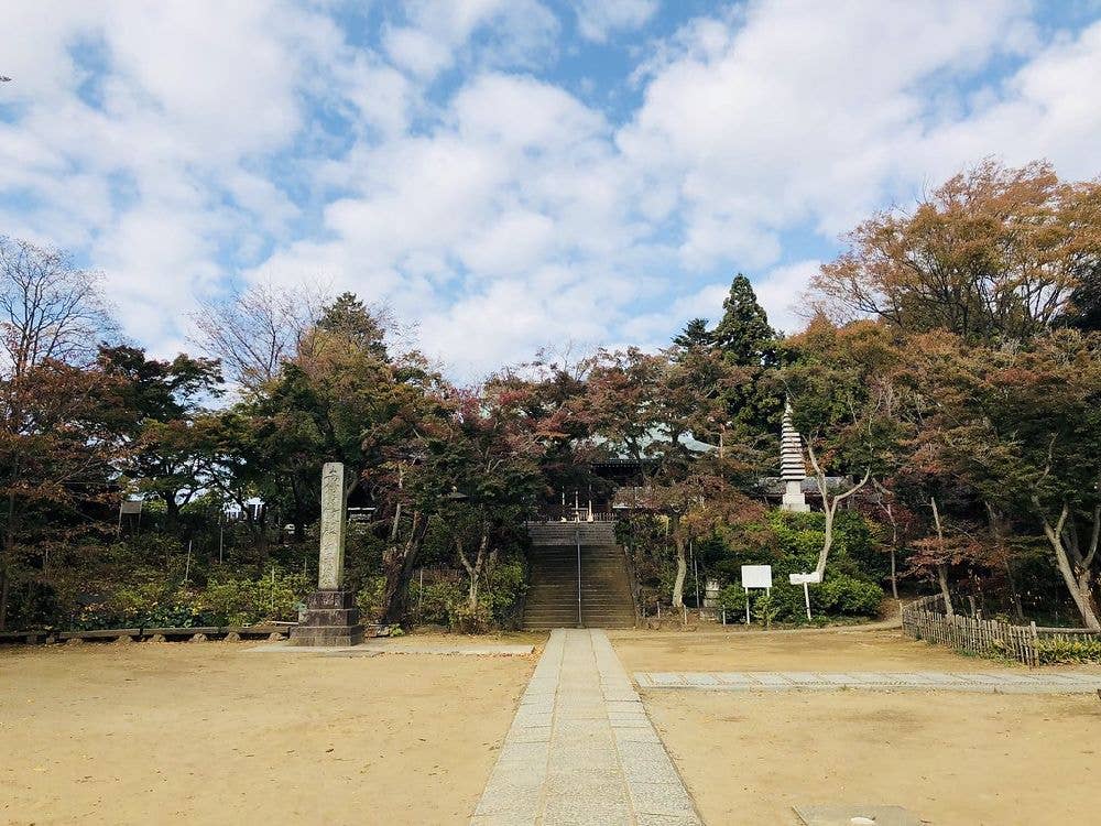 本土寺 初詣