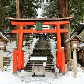 日枝神社 初詣