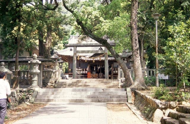 細江神社 初詣