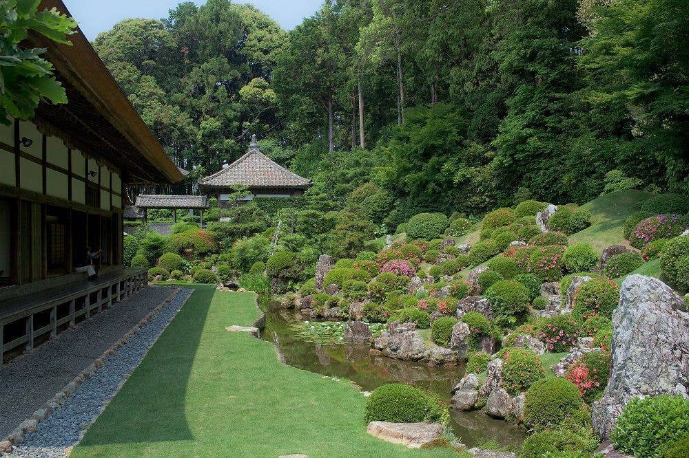 龍潭寺 初詣