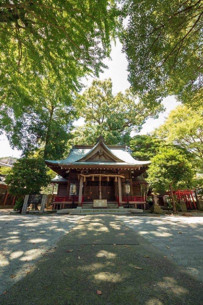 今宮神社 初詣