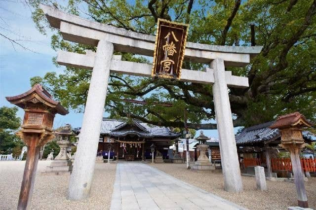 百舌鳥八幡宮 初詣