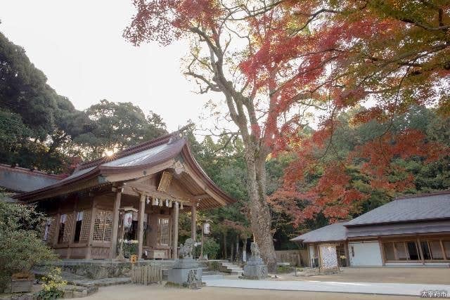 宝満宮 竈門神社 初詣