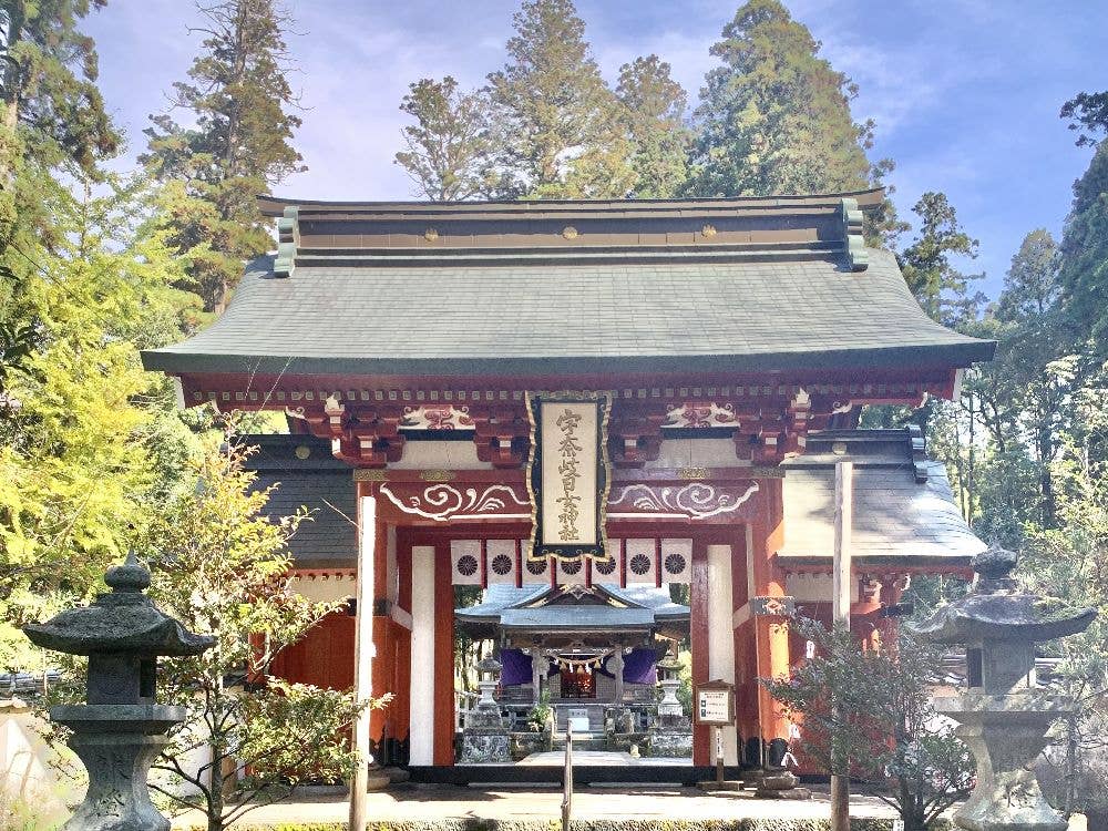 宇奈岐日女神社 初詣