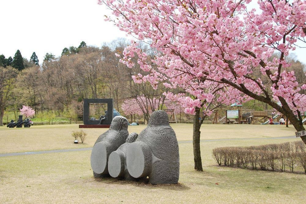 日本国花苑の桜